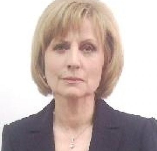 Prof. univ. dr. ing. Sonia AMARIEI
