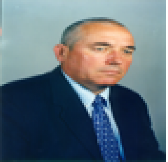 Prof. univ. dr. ing. Gheorghe GUTT